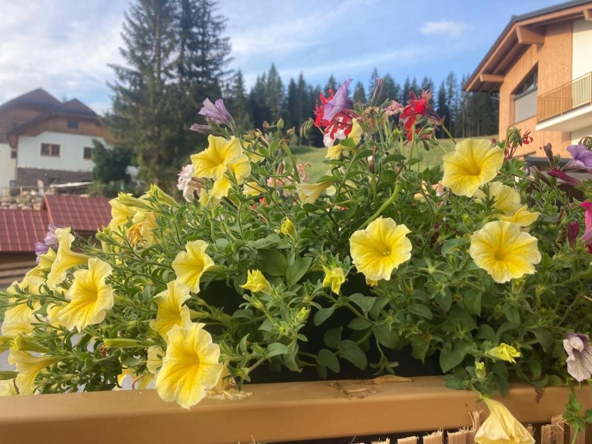 Jara Apartment- Ramsau Am Dachstein Luaran gambar