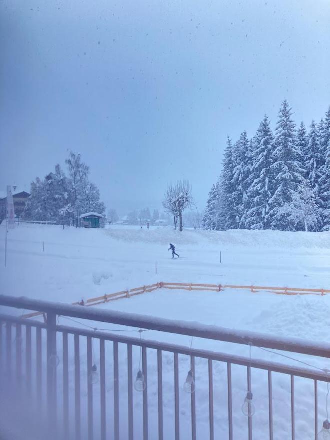Jara Apartment- Ramsau Am Dachstein Luaran gambar